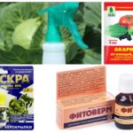 Préparations biologiques