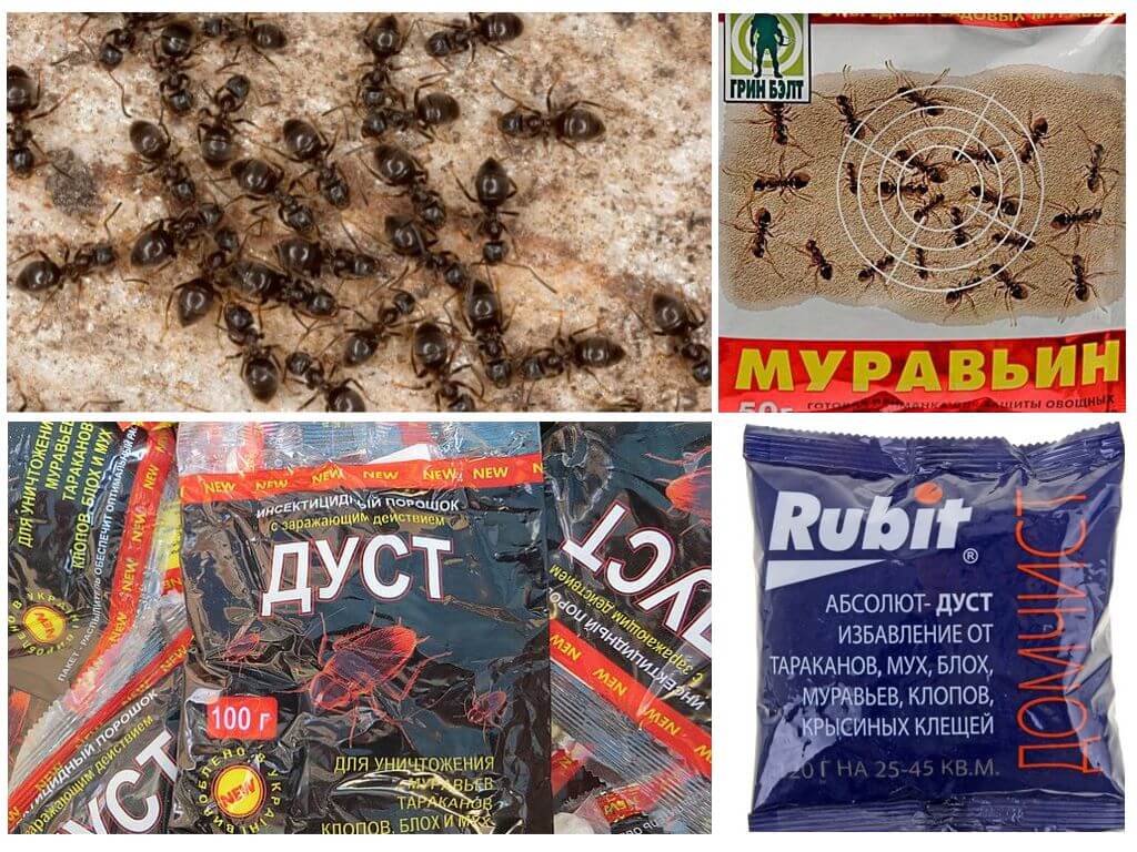 Produits chimiques fourmi
