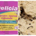Fourmis Delicia Poudre