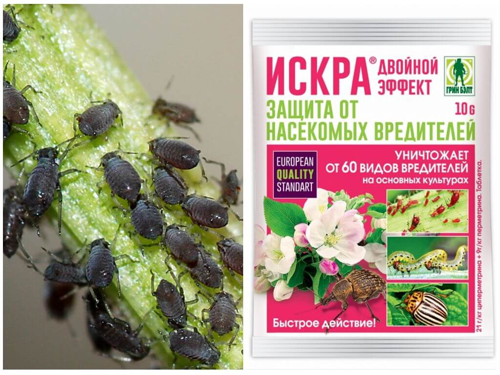 Pesticide Spark Double Effet
