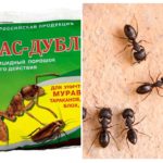 Signifie Fas-Double contre les fourmis