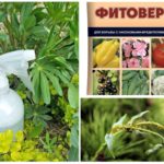 Plante phytophage