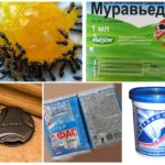 Produits chimiques insectes