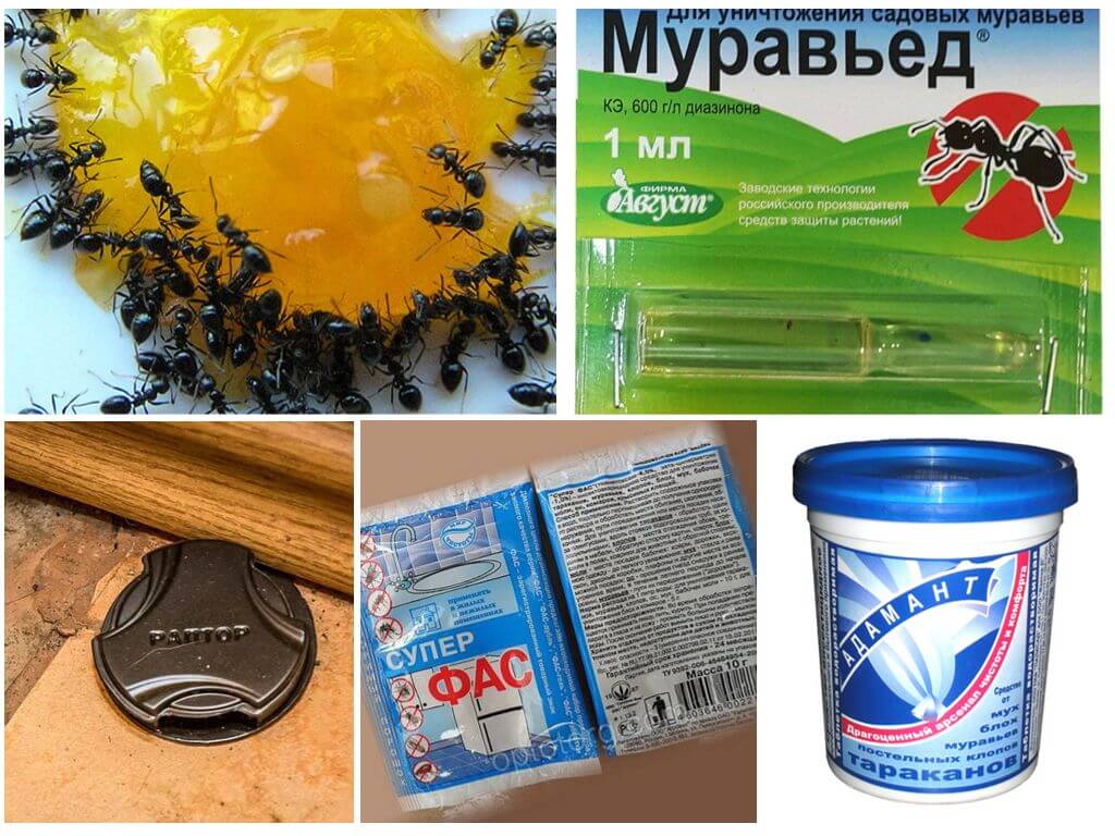Produits chimiques insectes