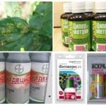 Insecticides Aphid