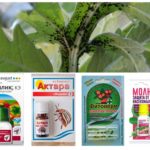 Produits chimiques antiparasitaires