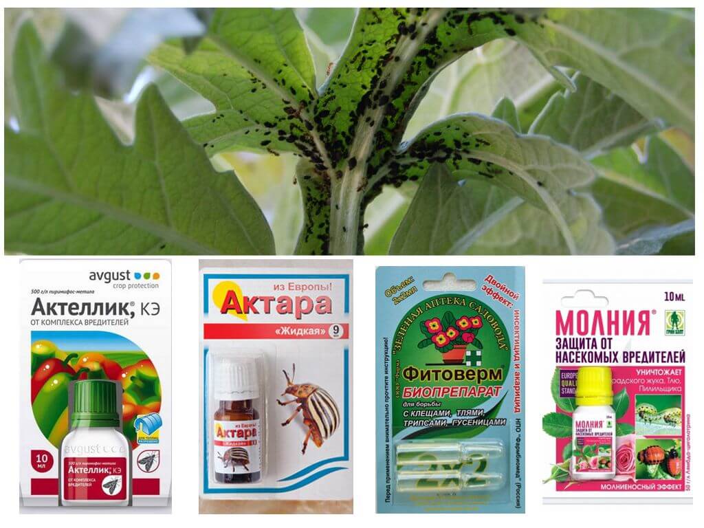 Produits chimiques antiparasitaires