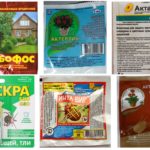 Produits insecticides