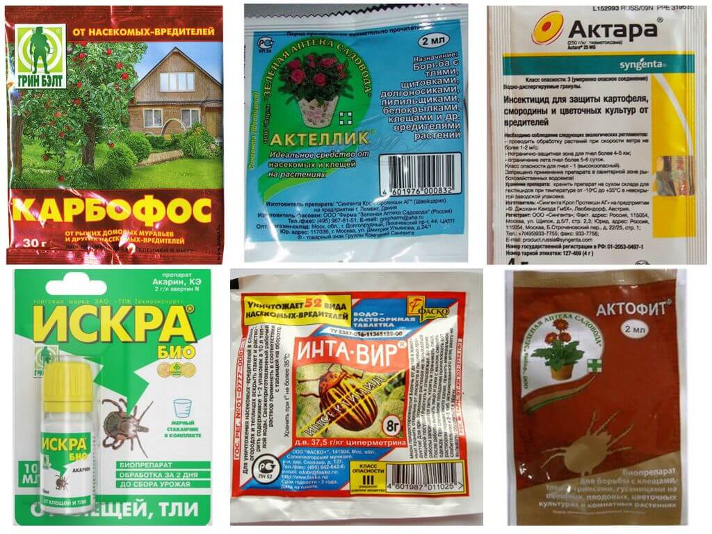 Produits insecticides