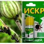 Spark Bio à partir de puceron