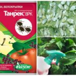 Utilisation de pesticides