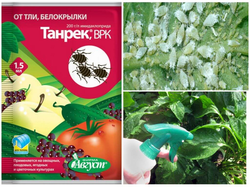 Utilisation de pesticides