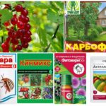 Produits chimiques contre les parasites