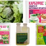 Produits chimiques toxiques des insectes nuisibles