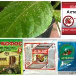 Produits chimiques toxiques provenant d'organismes nuisibles