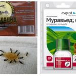 Application de magasin
