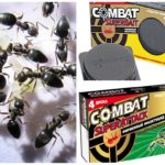 Combat de pièges à insectes