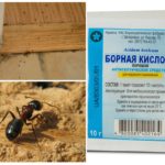 Méthodes de contrôle des insectes