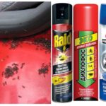 Fourmis dans la voiture
