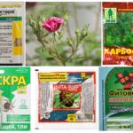 Produits chimiques toxiques pour la protection des plantes