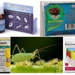 Produits chimiques pour les pucerons