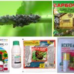 Préparations biologiques et chimiques