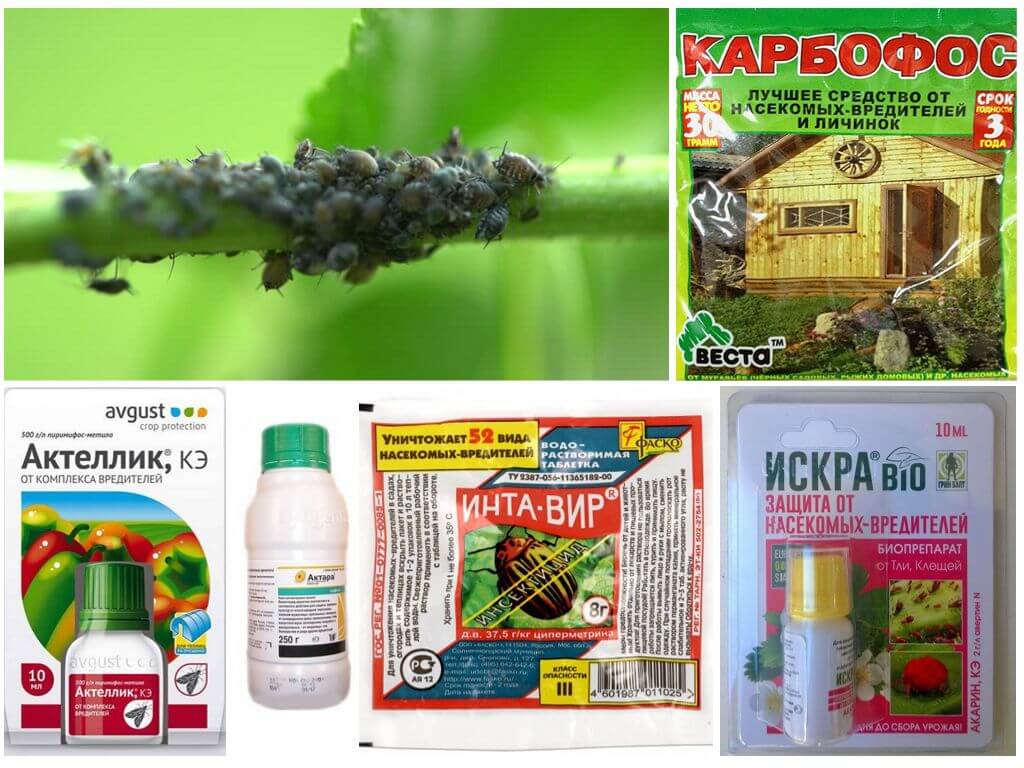 Préparations biologiques et chimiques