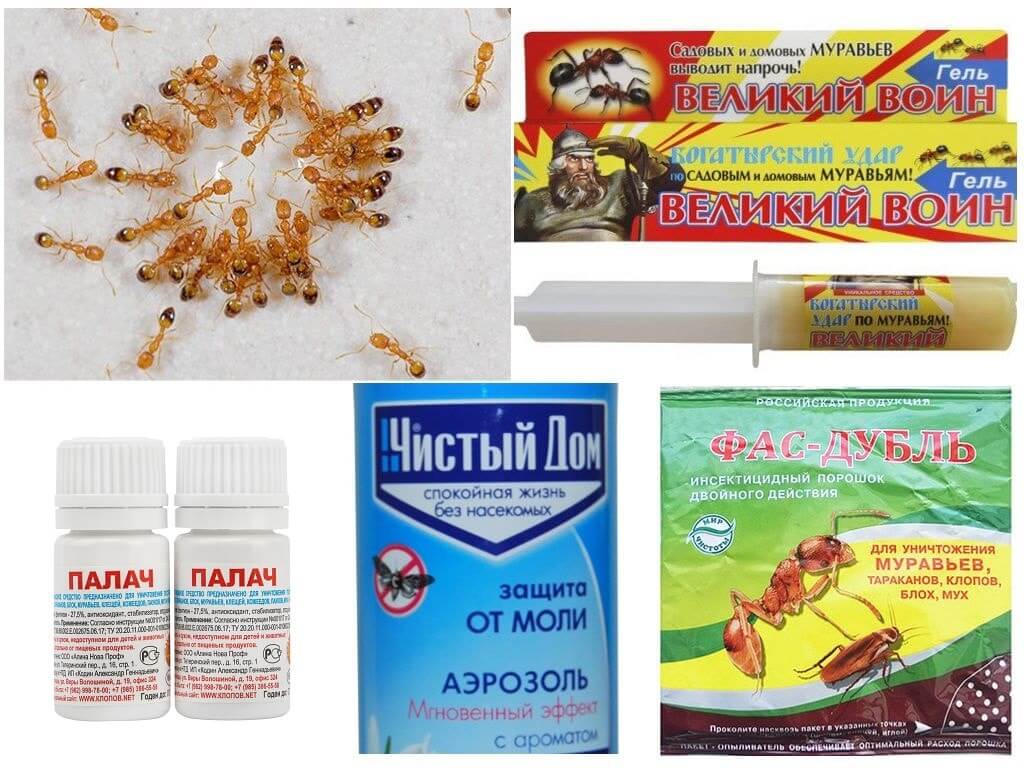 Lutte antiparasitaire