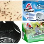 L'usage de drogues Raptor