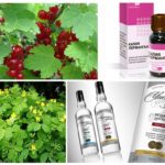 Permanganate de potassium et vodka de chélidoine