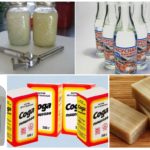 Recettes folkloriques contre les pucerons