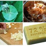 Recettes folkloriques