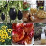Recommandations maison