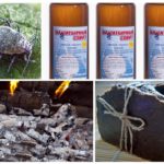 Recettes de pucerons faites maison