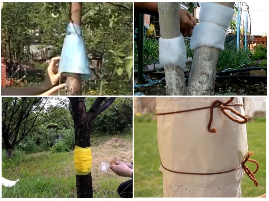 Ceinture de bois