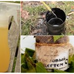 Tar des moustiques et des moucherons