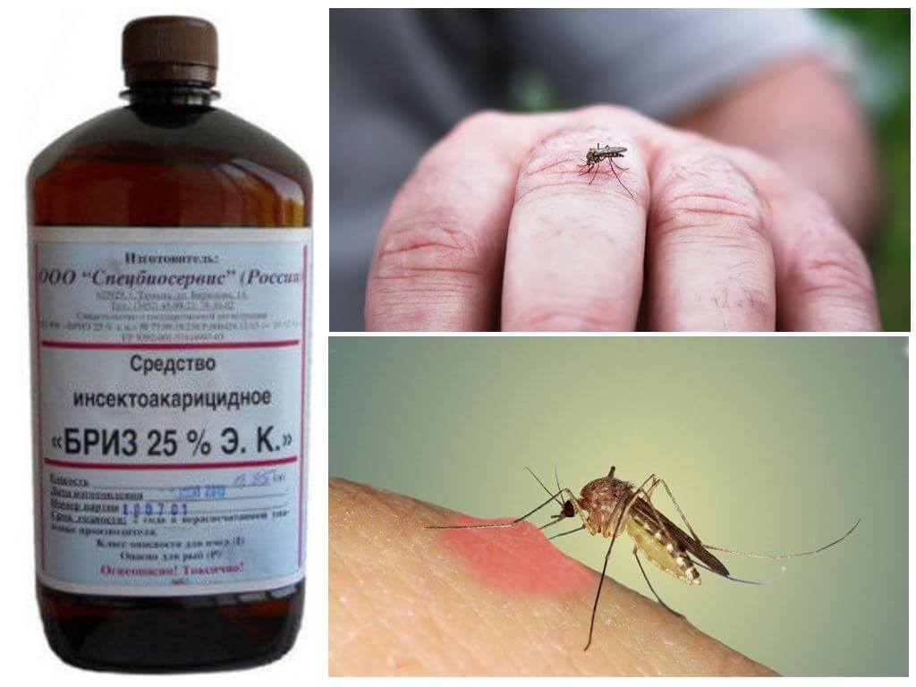 Remède contre les moustiques