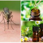 Huiles essentielles de moustiques