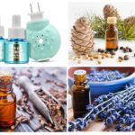 Huiles Essentielles pour Fumigator