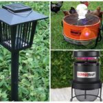 Piège à insectes à l'extérieur