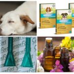 Répulsifs contre les moustiques pour animaux de compagnie