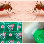 Plaques Raptor pour la protection contre les insectes