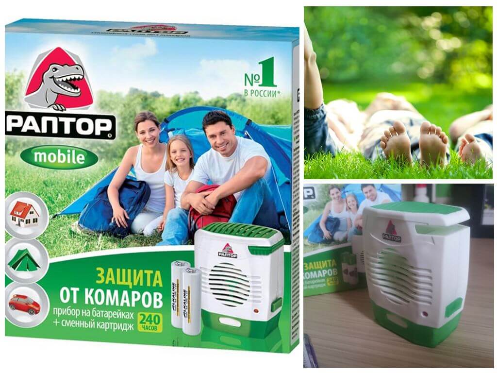 Raptor sur les batteries de moustiques