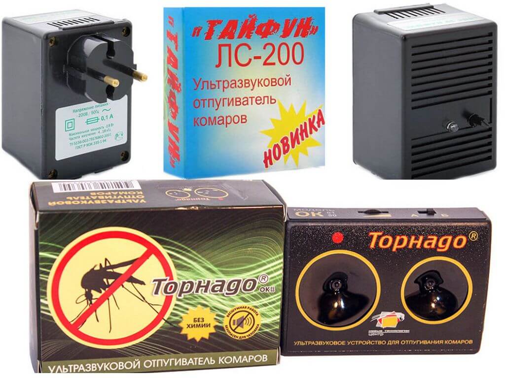 Insectes Typhoon et Tornado