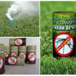 Smoke Bomb Soirée tranquille