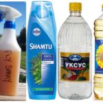 Anti-moustique à la maison avec du vinaigre et du shampooing