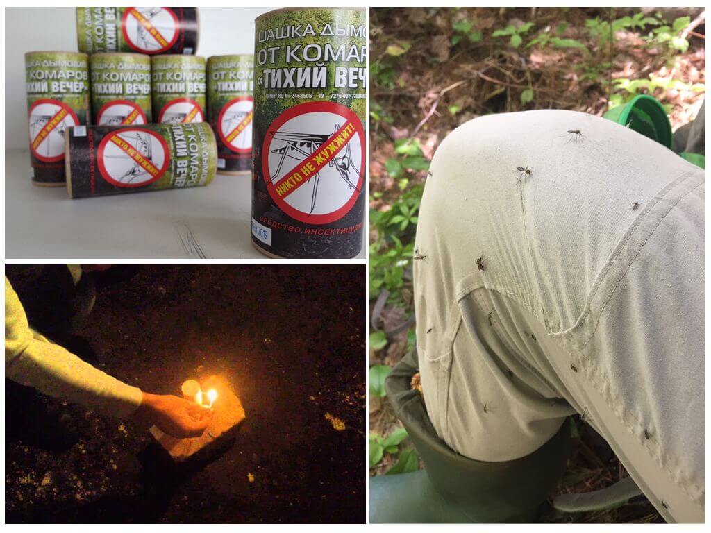Smoke Bomb pour la protection contre les insectes volants