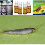 Produits chimiques nuisibles