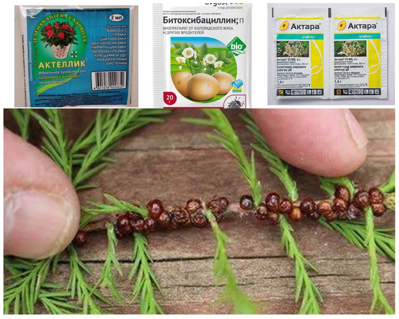 Médicaments chimiquement anti-nuisibles