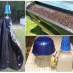 Pièges à insectes faits maison